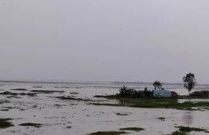 উজানের ঢল ও বৃষ্টিতে লালমনিরহাটের নিম্নাঞ্চল প্লাবিত