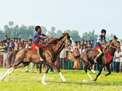 চাটমোহরে ঐতিহ্যের ঝংকার, হান্ডিয়ালের মাঠে দৌড়ালো গ্রামীণ প্রাণ