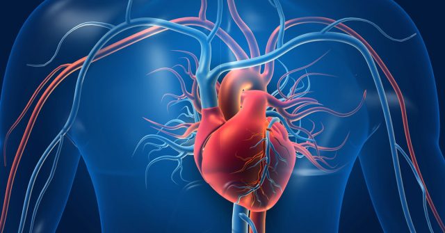 heart-valves-and-how-they-work-oklahoma-heart-hospital