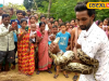 গোখরোর ছোবলও হজম করেছেন! সাপের বন্ধু