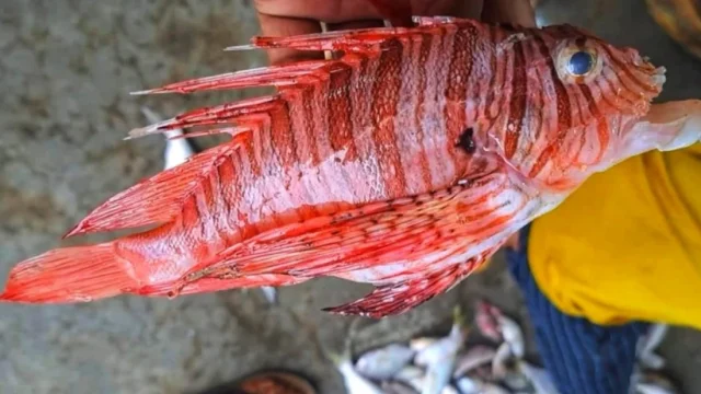 8a7fcf6b1bc4d53687c5993cdd544f2d-6908b484ec6da