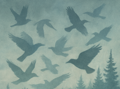 ওয়াশিংটনে মানবদেহে শনাক্ত নতুন ভাইরাস