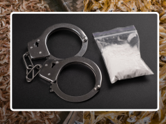 কুয়ালালামপুর বিমানবন্দরে শুকনো মাছের ভেতর ১২ কেজি কোকেইন