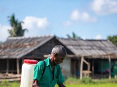 বিষের জন্ম: কৃষিজমিতে কীটনাশকের দৌরাত্ম্য