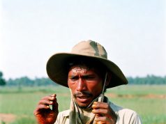 কৃষকের শরীরে বিষ: দীর্ঘমেয়াদি স্বাস্থ্যঝুঁকি