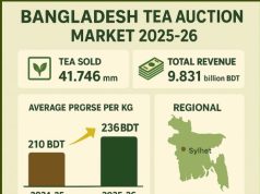 নিলামে চায়ের দাম বেড়েছে, সংকট কাটেনি
