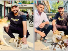 সেই মা কুকুরটির কোলে দেওয়া হয়েছে দুটি ছানা