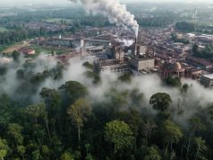 ২ লাখ ৫৭ হাজার একর বনভূমি বেদখল: উদ্ধারে ধীরগতি