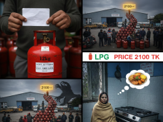 নিয়ন্ত্রণহীন এলপিজি: সরকার নির্ধারণ করে দাম, সিন্ডিকেট নির্ধারণ করে বাজার