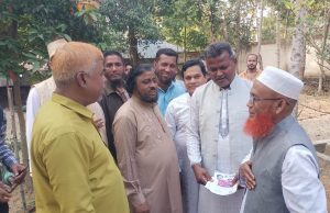 রামগড়ে ধানের শীষের প্রচারণায় প্রবীণ বিএনপি নেতারা