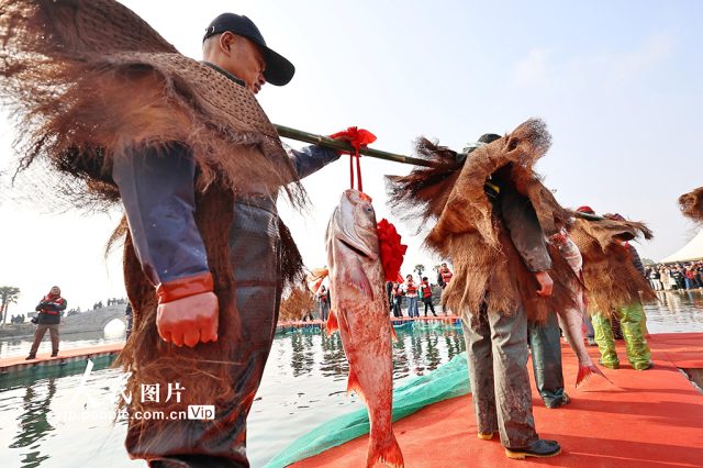 626681331_1410173847820569_6874446757150486493_n