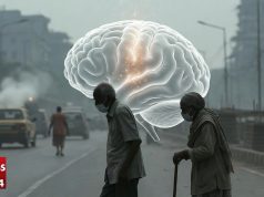 দূষিত বাতাসে বাড়ছে আলঝেইমারের ঝুঁকি: গবেষণায় চাঞ্চল্যকর তথ্য