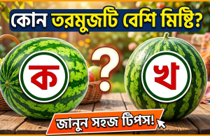 তরমুজের গায়ে এই দাগটি থাকলেই বুঝবেন সেটি সবচেয়ে মিষ্টি