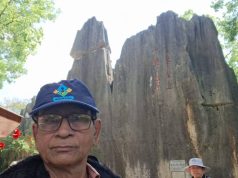 প্রকৃতির এক বিস্ময়কর স্থাপত্য: চীনের রহস্যময় পাথরের বন