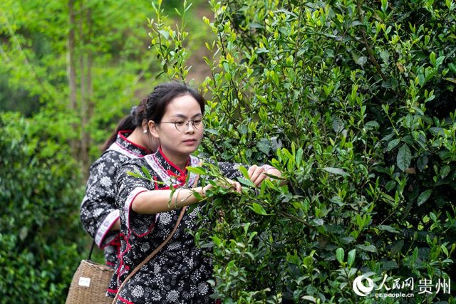 670273416_1473802011457752_9029998257402375018_n