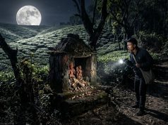 নীলকণ্ঠের রহস্য: বাগানের নিষিদ্ধ সীমানা