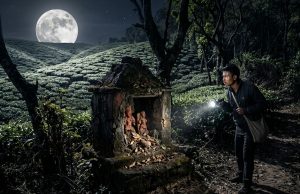 নীলকণ্ঠের রহস্য: বাগানের নিষিদ্ধ সীমানা