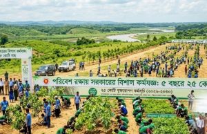 পরিবেশ রক্ষায় সরকারের বিশাল কর্মযজ্ঞ: ২৫ কোটি গাছ লাগানোর মহাপরিকল্পনা