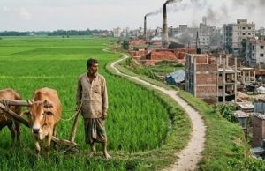 কৃষিজমিতে বাড়ি বা কারখানা? যা যা জানা আপনার জন্য বাধ্যতামূলক