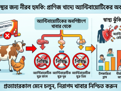 প্রাণিজাত খাদ্যে অ্যান্টিবায়োটিকের অবশিষ্টাংশ: জনস্বাস্থ্যের জন্য নীরব হুমকি