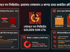 গোল্ডেন সন: ক্রমাগত লোকসান ও ঋণভারে জর্জরিত