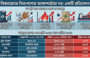 বিশ্ববাজারে নিত্যপণ্যের আকাশছোঁয়া দর
