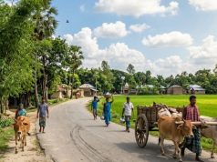তৃতীয় শ্রেণীর স্কুলছাত্রীর ওপর পাশবিক নির্যাতন হবিগঞ্জে