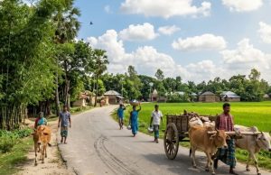 তৃতীয় শ্রেণীর স্কুলছাত্রীর ওপর পাশবিক নির্যাতন হবিগঞ্জে
