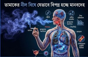 ৭ হাজার রাসায়নিকের আক্রমণ: তামাকের ধোঁয়ায় শরীরের ভেতরে যা ঘটে