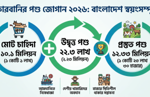 কোরবানির পশুর সংকট নেই, উদ্বৃত্ত ২২ লাখ