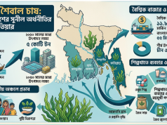 সাগরের তলদেশে লুকানো সোনা-শৈবালে বদলে যাবে বাংলাদেশের অর্থনীতি