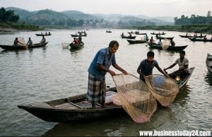 হালদায় আবারও নমুনা ডিম ছেড়েছে মা মাছ