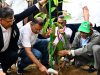দেশব্যাপী ২৫ কোটি বৃক্ষরোপণ কর্মসূচির উদ্বোধন প্রধানমন্ত্রীর