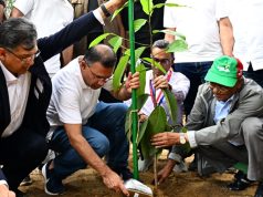 দেশব্যাপী ২৫ কোটি বৃক্ষরোপণ কর্মসূচির উদ্বোধন প্রধানমন্ত্রীর