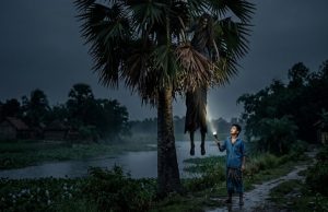 তালগাছের ভূত ও নিবারণ চোর